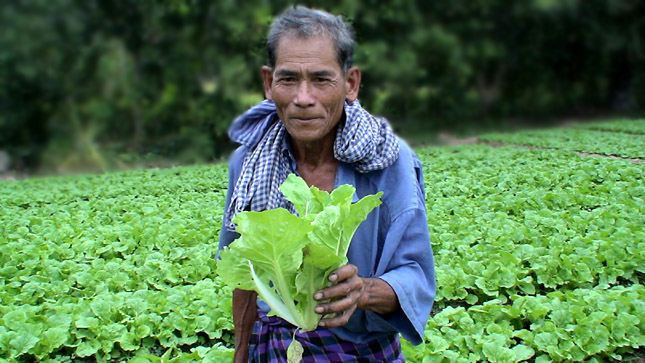 រដ្ឋាភិបាលបញ្ចេញប្រាក់ 20លានដុល្លារ ជួយលើវិស័យបន្លែ ដើម្បីកាត់បន្ថយការនាំចូល