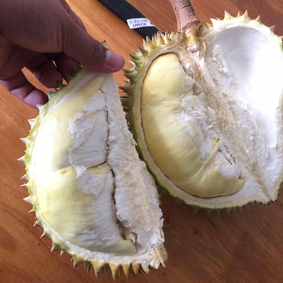 លក្ខណៈសម្គាល់ធុរេនធម្មជាតិររបស់ខ្មែរ និងធុរេននាំចូលពីថៃ