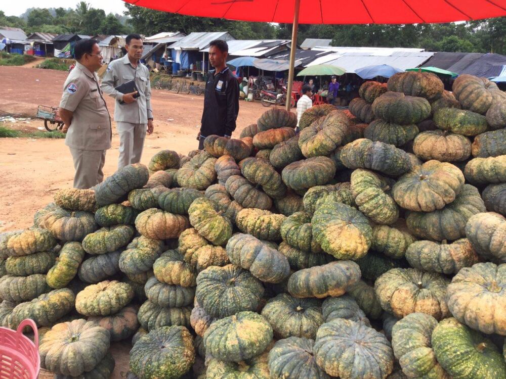 ល្ពៅខ្មែរ និងល្ពៅថៃតម្លៃខុសគ្នាដូចមេឃនឹងដី