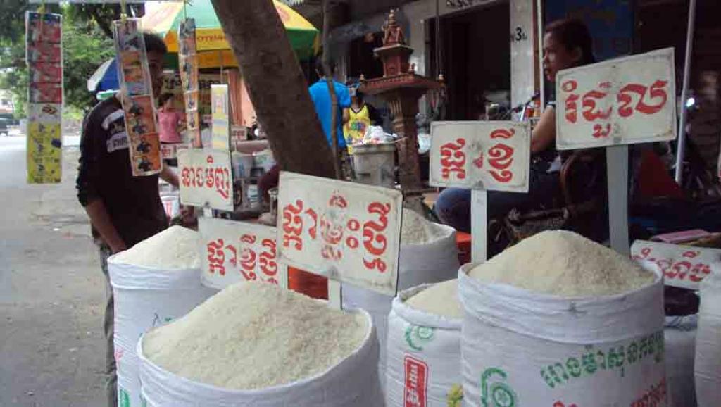 តម្លៃ​អង្ករ​ទីផ្សារ​ក្នុងស្រុក​ និង​អន្តរជាតិ​រើប​ឡើងវិញ