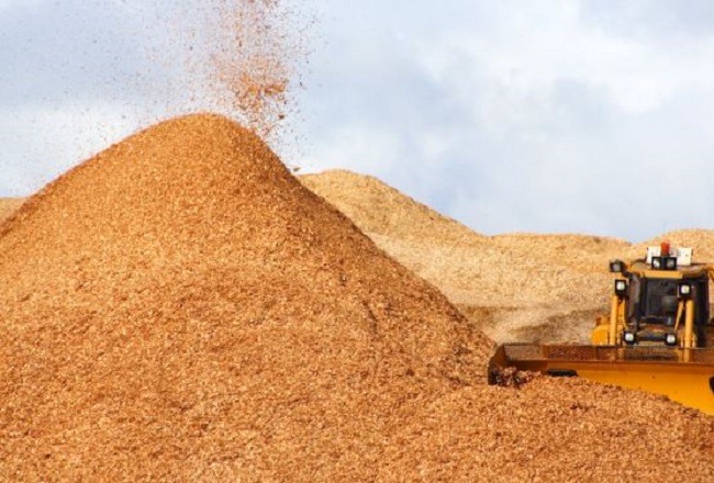 ជប៉ុនគ្រោងសង់រោងចក្រផលិតក្តារកៀបចេញពីកម្ទេចឈើនៅកម្ពុជា