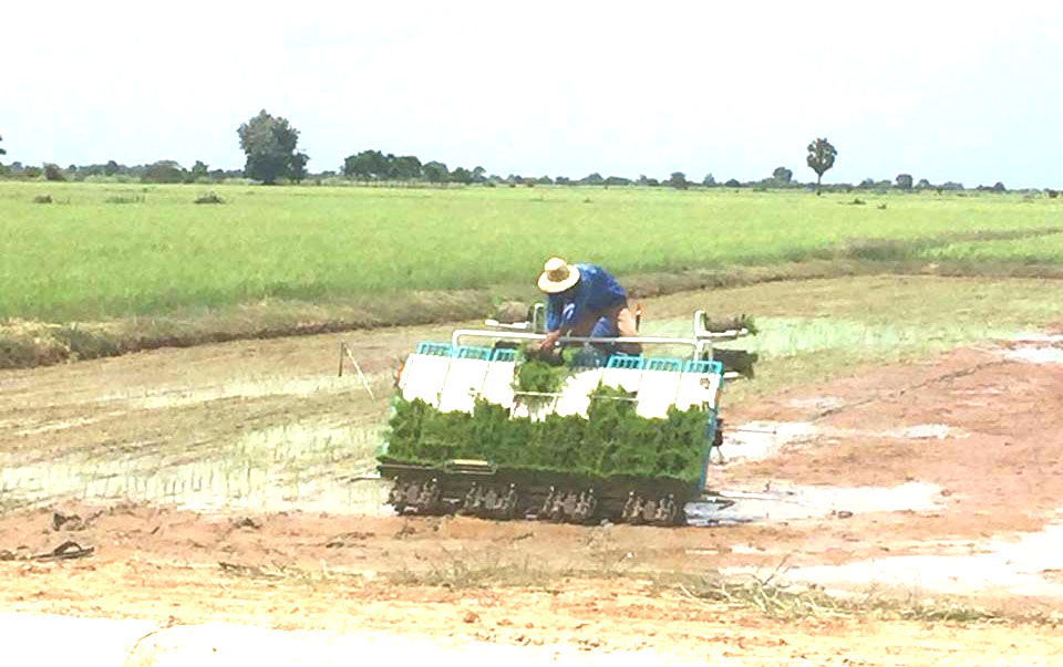 ការប្រើប្រាស់គ្រឿងយន្តក្នុងវិស័យកសិកម្មកើនឡើងជាង 90ភាគរយ