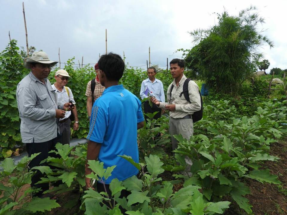ធនាគារពិភពលោក​រៀ​ប​ចំ​គម្រោង​ថ្មី​មួយ​ជួយ​ដល់​កម្ពុជា​ផលិត​បន្លែ និង​ផ្លែឈើ​សរីរាង្គ