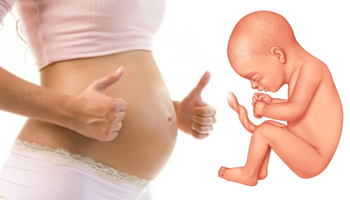 តើ​អាយុ​គភ៌​ប៉ុន្មាន​ខែ ទើប​កូន​ចាប់ផ្តើម​រើ?