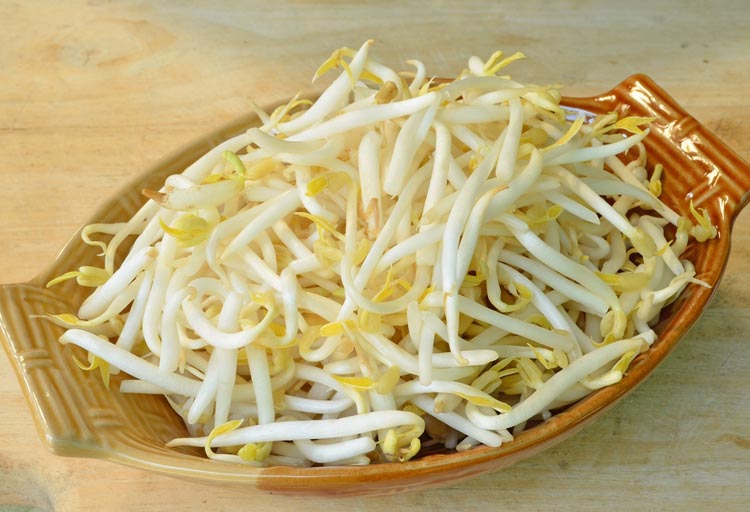 ភាពខុសគ្នា​រវាង​សណ្តែកបណ្តុះ​គីមី និង​សណ្តែកបណ្តុះ​ធម្មជាតិ | La Reine Media