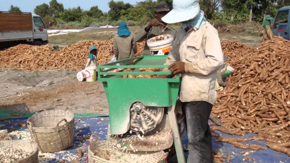 ថៃ​សន្យា​ទិញ​ទំនិញ​កសិផល​ពី​កម្ពុជា​ឱ្យបាន​កាន់តែច្រើន