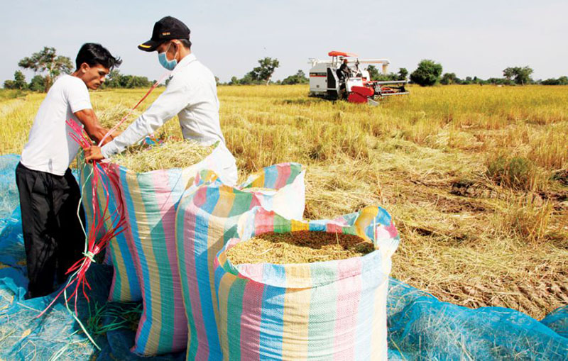 ទិន្នផល​ស្រូវ​នឹង​ល្អប្រសើរ ខណៈដែល​ឡស​ម្ងួ​ត និង​ឃ្លាំង​ស្ដុក3កន្លែង​នឹង​ចាប់ផ្ដើម​ប្រើ​នៅ​ដើមឆ្នាំ2018