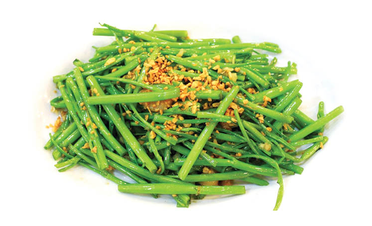 ត្រកួន មិន​ត្រឹមតែ​ជា​បន្លែ តែ​ជា​ឱសថ​បុរាណ​ដ៏​ពូកែ