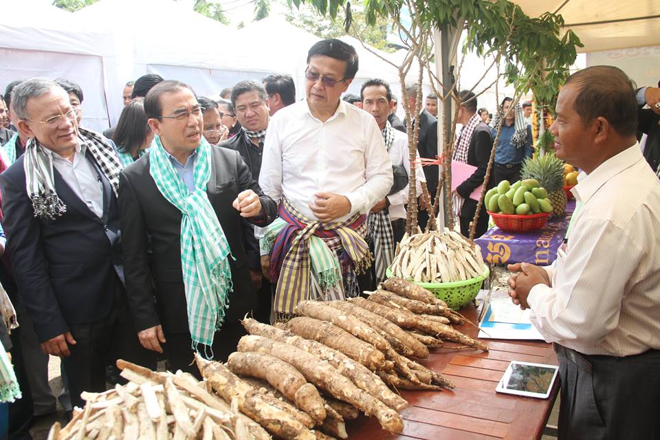 កសិករកុំទាន់អស់សង្ឃឹម! ដំឡូងមីនឹងមានតម្រូវការកាន់តែខ្ពស់នៅលើទីផ្សារ