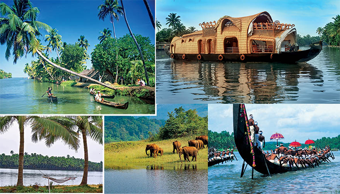 Kerala ឋានសួគ៌ធម្មជាតិសម្រាប់ដំណើរក្រេបចន្ទទឹកឃ្មុំនៃទិសនិរតីប្រទេសឥណ្ឌា