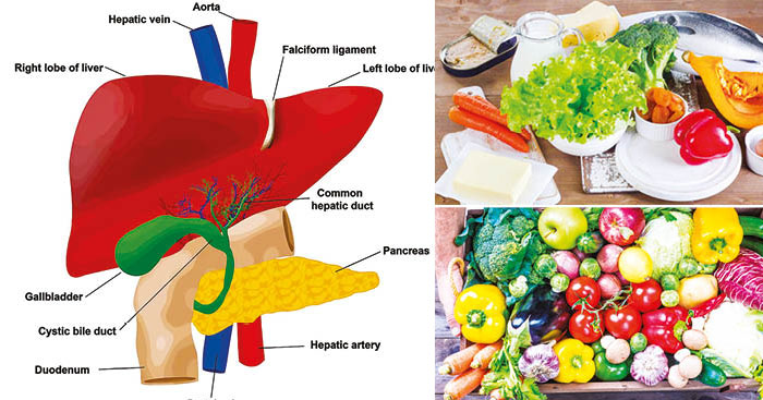 តើត្រូវទទួលទានយ៉ាងណាឱ្យ “ថ្លើម” រឹងប៉ឹង?