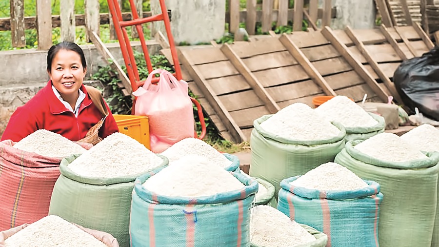 តម្លៃ​អង្ករ​ហក់​ឡើង​ជាង $100 ក្នុង​មួយ​តោន នាពេលថ្មីៗនេះ