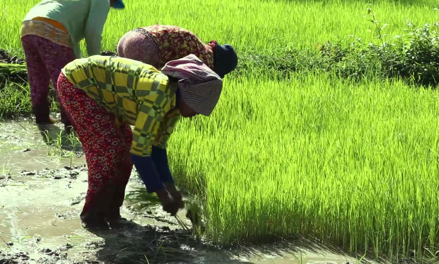 មីក្រូហិរញ្ញវត្ថុ​នៅ​កម្ពុជា៖ អតីត បច្ចុប្បន្ន និង​អនាគត