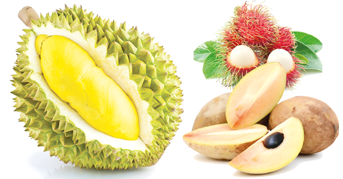 បើ​មិន​ចង់​ធាត់!! ហាម​ទទួលទាន​ ផ្លែឈើ9ប្រភេទ​នេះ