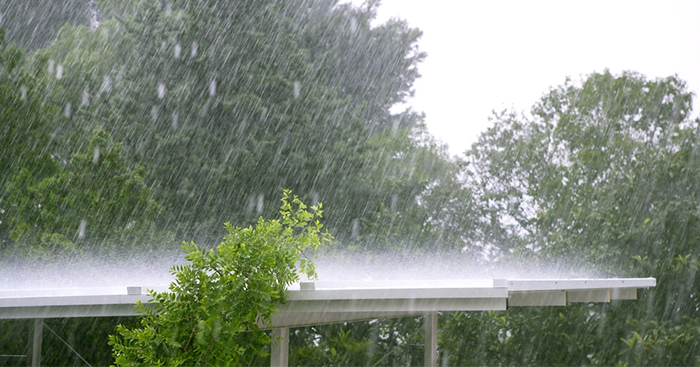 ដល់​រដូវ​ភ្លៀងហើយ ស្វែងយល់ពីការមើល​ថែខ្លួន​ក្រោយពេល​ទទឹកភ្លៀង