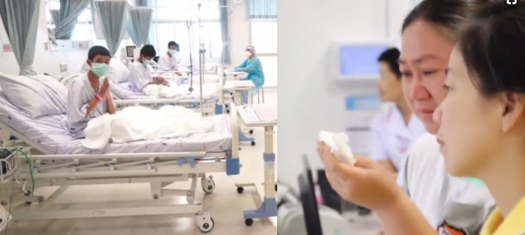 ឪពុកម្ដាយក្មេងៗក្រុមជ្រូកព្រៃស្រក់ទឹកភ្នែក ពេលបានឃើញកូនលើកដំបូងក្រោយចេញពីរូងភ្នំ