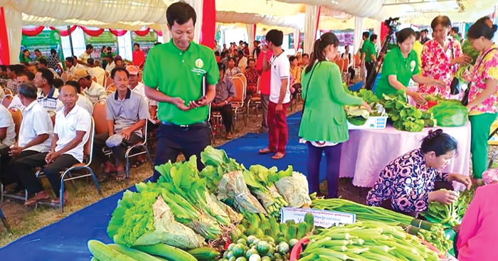 ឆ្នាំ2019 កម្ពុជានឹងជំរុញកំណើនផលិតកម្មបន្លែមានសុវត្ថិភាព និងគុណភាពខ្ពស់