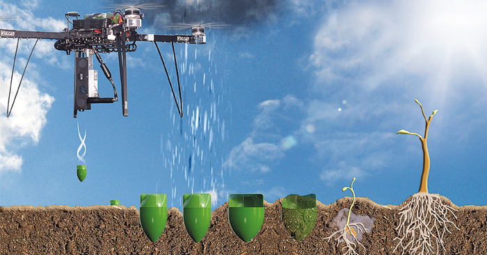 ពិភពលោក​កំពុង​ចាប់អារម្មណ៍​ដាំ​ដើមឈើ​ឡើងវិញ​ដោយ​ប្រើ​បច្ចេកវិទ្យា