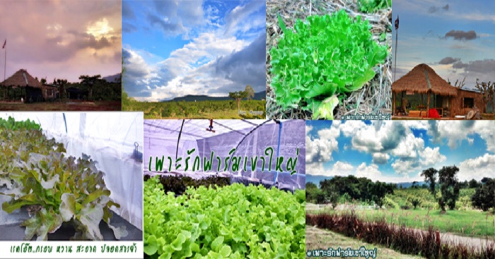 មកស្គាល់តំបន់ទេសចរណ៍បន្លែធម្មជាតិល្បីដាច់គេនៅប្រទេសថៃ ល្អសម្រាប់អ្នកថែទាំសុខភាព