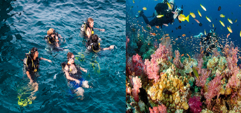 នៅចាំអីទៀត!! តោះ ទៅលេងកោះតៅ ទស្សនាសត្វនៅបាតសមុទ្រ!