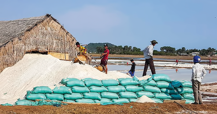 កម្ពុជាត្រៀមនាំចូលអំបិលជាង 3ម៉ឺនតោនសម្រាប់ផ្គត់ផ្គង់ការធ្វើប្រហុក-ផ្អក