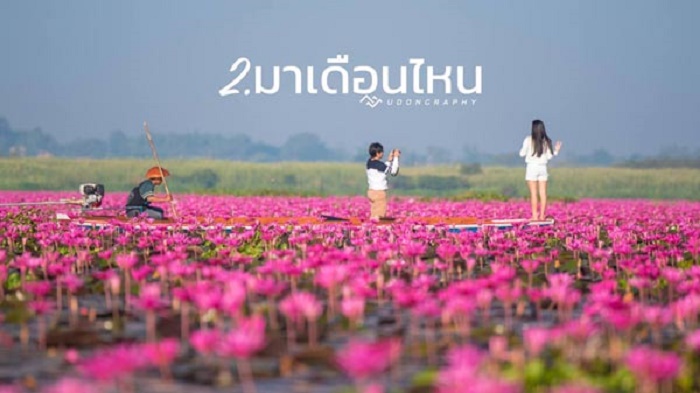 ត្រជាក់ភ្នែកជាមួយបឹងព្រលិតដ៏ស្រស់ត្រកាលនៅខេត្តឧដនថានី ប្រទេសថៃ