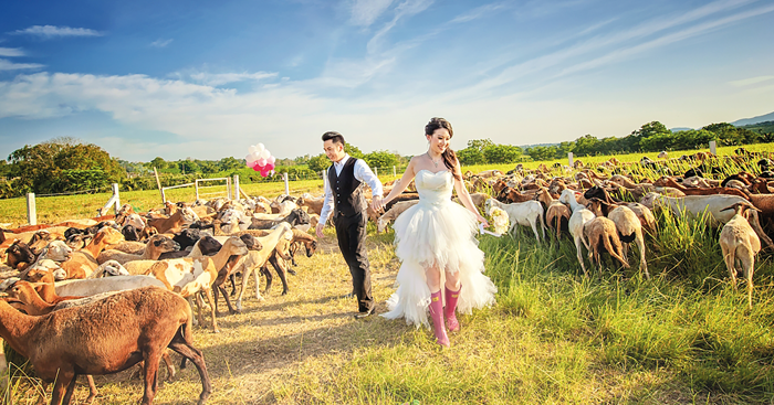 ថត Pre-wedding គួរជ្រើសរើសម៉ូដសម្លៀកបំពាក់បែបណា