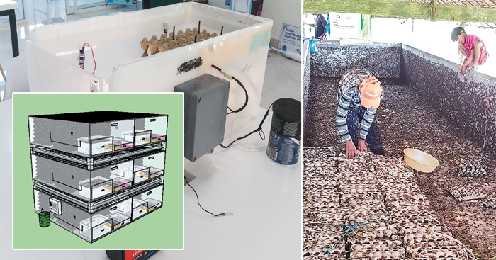 អាង​ចិញ្ចឹម​ចង្រិត​បែប​ថ្មី​ ​ប្រើ​បច្ចេកវិទ្យា​ជួយ​អ្នក​ចិញ្ចឹម​ចង្រិត​នៅ​តំបន់​ឆ្ងាយ​ៗ​