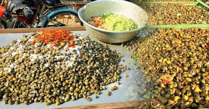 មុខរបរ​លក់​លៀស​ហាល​ ​ក្តៅ​បន្តិច​មែន​ ​តែ​អាច​រកចំណូល​បាន​ជាមធ្យម​ជិត​ ​800ដុល្លារ​ក្នុង​ ​1ខែ​