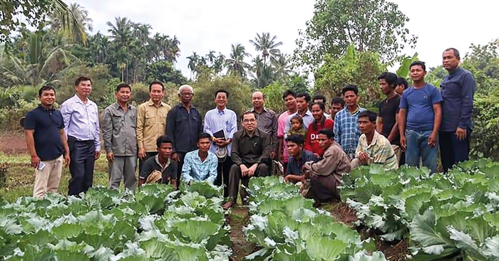 កសិករ​ខេត្ត​កំពង់ចាម​នាំគ្នា​ដាំ​បន្លែ​ស្ពៃក្ដោប​បំពេញ​តម្រូវការ​ទីផ្សារ​