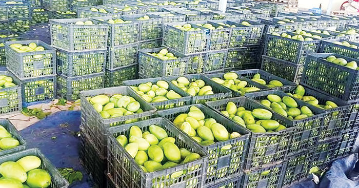 ក្រុមហ៊ុន​ចិន​ធំ​មួយ​ បោះទុន​វិនិយោគ​លើ​វិស័យ​កសិកម្ម​នៅ​ខេត្តកំពង់ធំ​