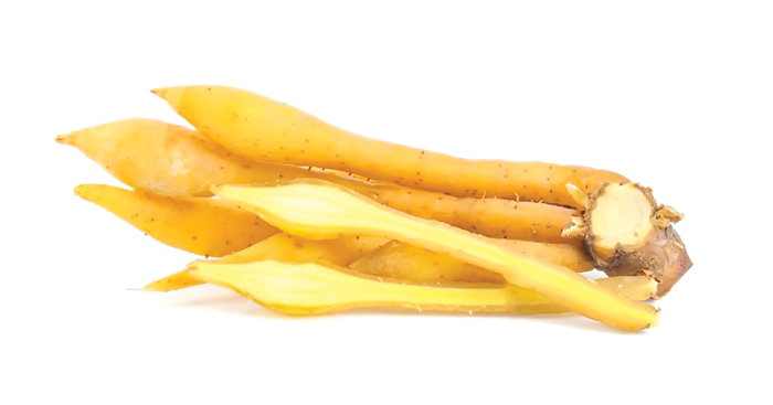 មើម​ខ្ជាយ មានគុណ​ប្រយោជន៍​ខ្ពស់​ហួស​ពី​ការរំពឹងទុក