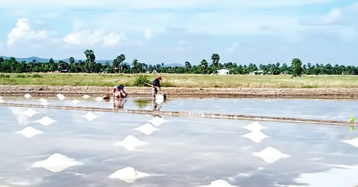 សាល​ពិព័រណ៍​អំបិល​នៅ​ខេត្តកំពត​ ហាក់​មិនសូវ​ទាក់ទាញ​អ្នកទេសចរ​ ខណៈ​រដ្ឋមន្ត្រី​ទេសចរណ៍​ស្នើ​ឱ្យ​រៀបចំ​ស្រែអំបិល​ឱ្យ​បាន​ល្អ​