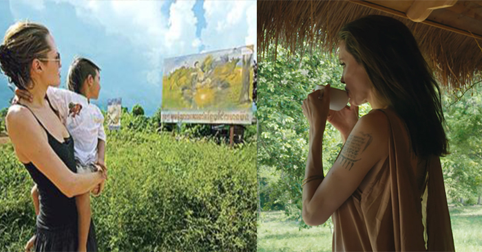 តារា​ស្រី​ ​Angelina​ ​Jolie​ ​បាន​ទិញ​ដី​ ​60,000​ ​ហិ​ក​តា​នៅ​ខេត្តបាត់ដំបង​ ​ដើម្បី​អភិរក្ស​សត្វព្រៃ​