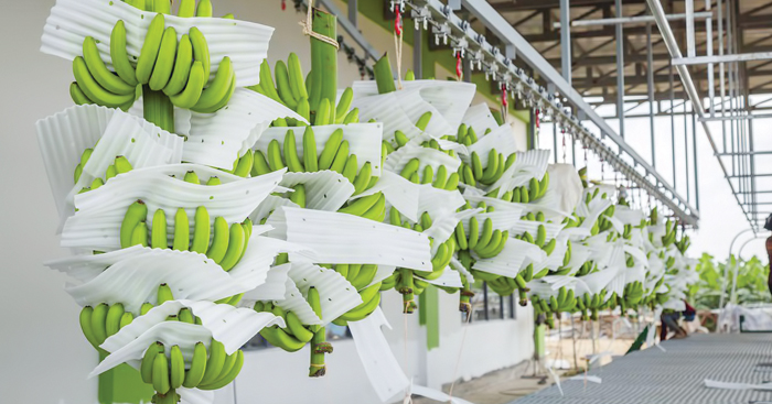 ជំរុញ​ផលិតភាព​ និង​ការនាំចេញ​កសិផល​ទៅកាន់​ទីផ្សារ​អន្តរជាតិ​ ជា​ការងារ​អាទិភាព​