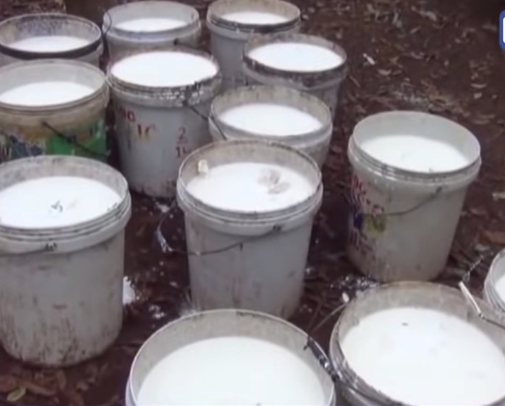 ​រយៈពេល​ ​10ខែ​ ​ឆ្នាំនេះ​ ​កម្ពុជា​នាំចេញ​ជ័រកៅស៊ូ​បាន​ជិត​ ​20ម៉ឺន​តោន​