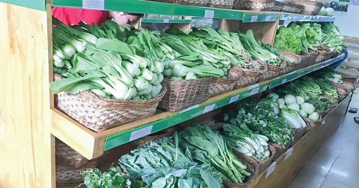 រដ្ឋមន្ត្រី​កសិកម្ម​ ស្នើ​ឱ្យ​សហការ​គ្នា​លើកកម្ពស់​ផលិតផល​សរីរាង្គ​ ដើម្បី​ឆ្លើយតប​នឹង​តម្រូវការ​