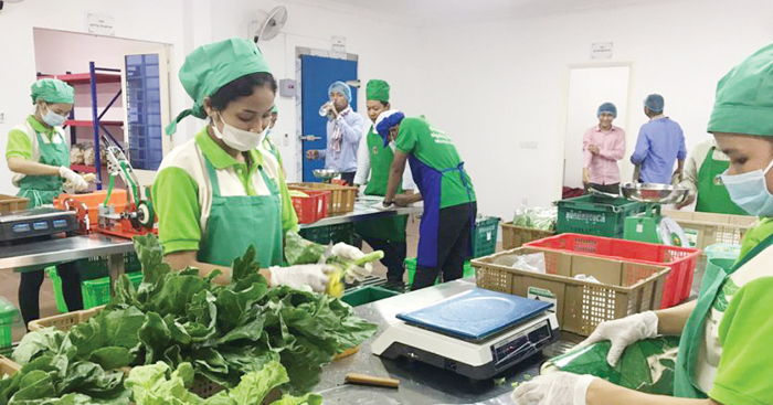 ក្រសួង​កសិកម្ម​ជំរុញ​ឱ្យ​កសិករ​បង្កើន​ផលិតកម្ម​ក្នុង​ស្រុក​ ទប់ស្កាត់​ការនាំចូល​