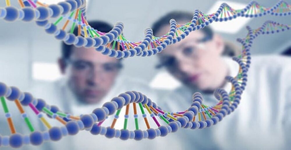 រកឃើញភ័ស្ដុតាងបង្ហាញថា មនុស្សលោក មានដើមកំណើតពីប្ដីប្រពន្ធតែមួយគូគត់ កាលពីរាប់សែនឆ្នាំមុន