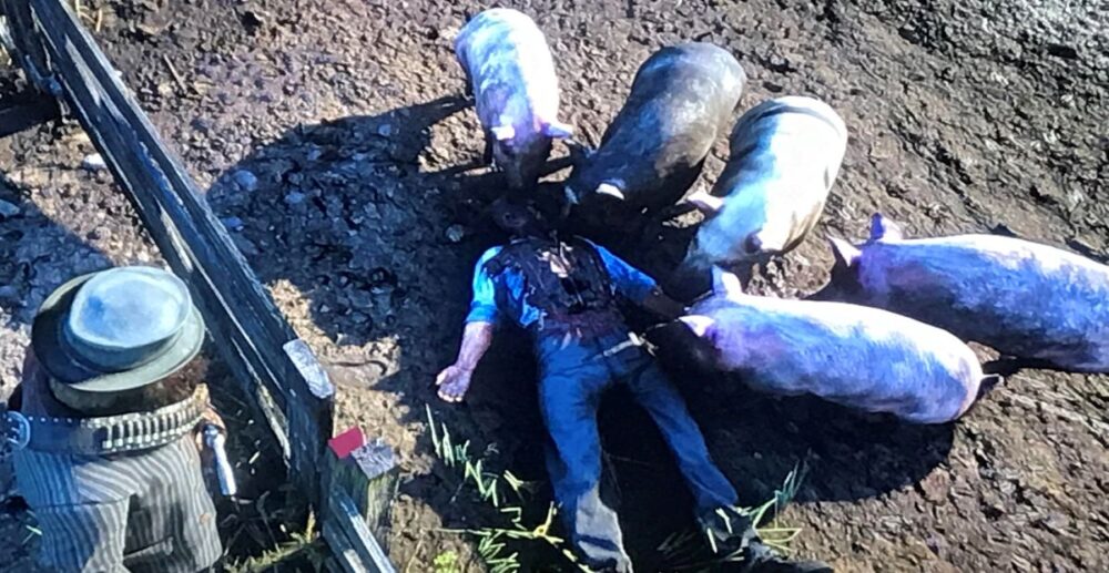 សូមប្រយ័ត្ន! អ្នកចិញ្ចឹមជ្រូកនៅប្រទេសប៉ូឡូញ ត្រូវជ្រូកហែកស៊ី នៅសល់តែ…