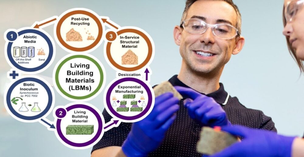 រក​ឃើញ​វិធី​ផលិត​ដុំឥដ្ឋ​ “រស់​” ដែល​អាចប​ង្កើត​កូនចៅ​ និង​អាច​បិទ​ភ្ជិត​កន្លែង​ប្រេះ​បែក​ដោយខ្លួនឯង​