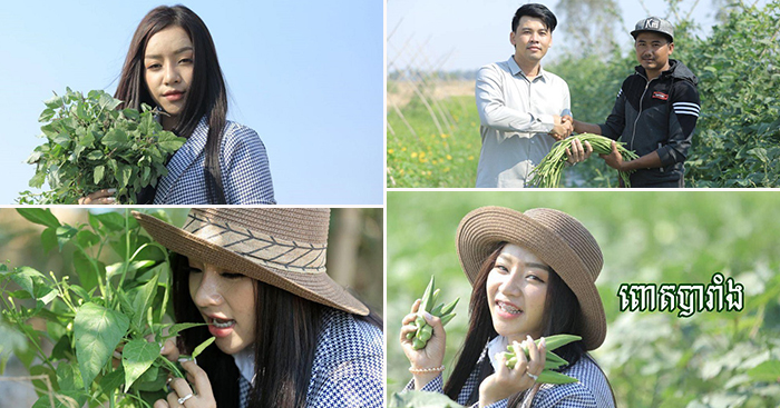 ថៅកែផលិតកម្មកកាឡាក់ស៊ីណាវ៉ាត្រា ត្រៀមបើដំណើរការផ្សារកសិផល​ធម្មជាតិ