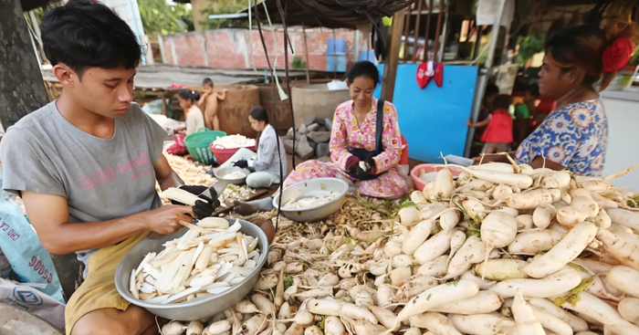 អ្នក​ដាំ​ឆៃថាវ ធ្វើ​ឆៃប៉ូវ កំពុងមាន​ទីផ្សារ​ល្អ ទាំង​ក្នុង និង​ក្រៅប្រទេស