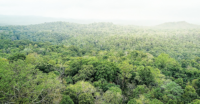 ស្ថាប័នពាក់ព័ន្ធចង់ជំរុញឱ្យប្រជាជនចាប់ផ្តើមចេះស្រឡាញ់ធម្មជាតិដើម្បីរួមចំណែកអភិរក្ស និងអភិវឌ្ឍប្រកបដោយចីរភាព