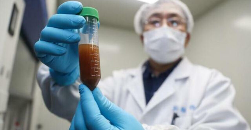 ជួយត្រេកអរ! វ៉ាក់សាំង COVID-19 ដែលបានពិសោធលើកសត្វដំបូងគេបង្អស់ បានកកើត អង់ទីគ័រហើយ