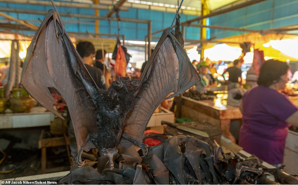 វីដេអូ​ឃ្លីប៖ ផ្សារ​លក់​​ប្រចៀវ​​នៅ​ឥណ្ឌូនេស៊ី 