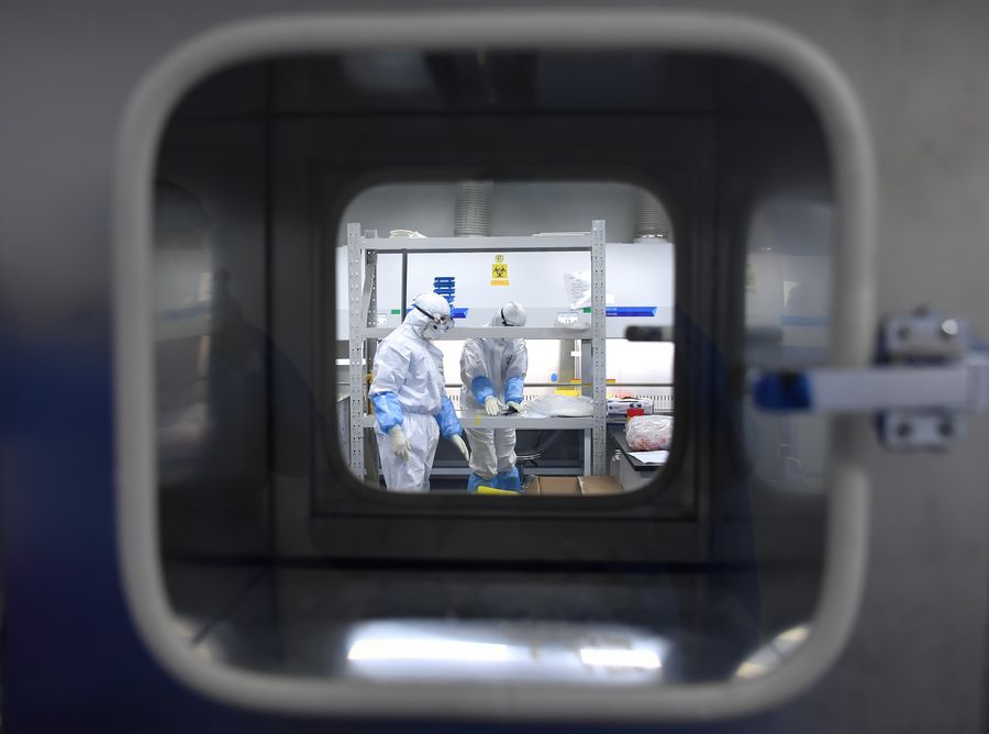 អ្នកស្រាវជ្រាវ រកឃើញថា វីរុស COVID-19 អាចលុកលុយបំផ្លាញប្រព័ន្ធសរសៃប្រសាទអ្នកជំងឺ