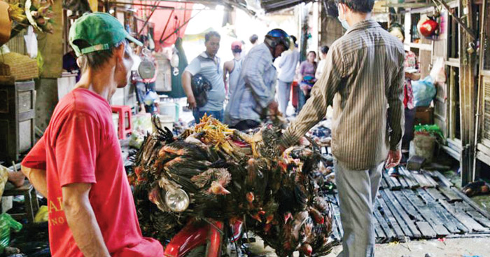 សម្ដេច​តេ​ជោ​នាយក​រដ្ឋ​ម​ន្ត្រី្ក បញ្ជា​ឱ្យ​ត្រៀម​បង្ការ​ការឆ្លង​ជំងឺផ្តាសាយបក្សី H5N1