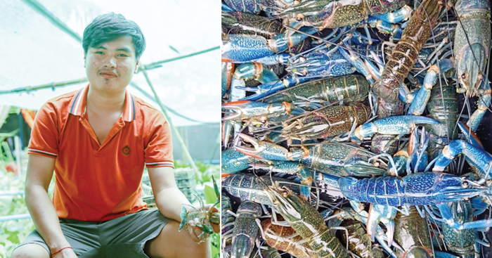 ដោយសារ​បង្កង កំពុងមាន​តម្រូវការ​ខ្ពស់ និង​បាន​ថ្លៃ អ្នកជំនាញ​ខាង​ចិញ្ចឹម​បង្កង​នៅ​ខេត្តបាត់ដំបង កំពុង​ស្វែងរក​ដៃគូ​សហការ