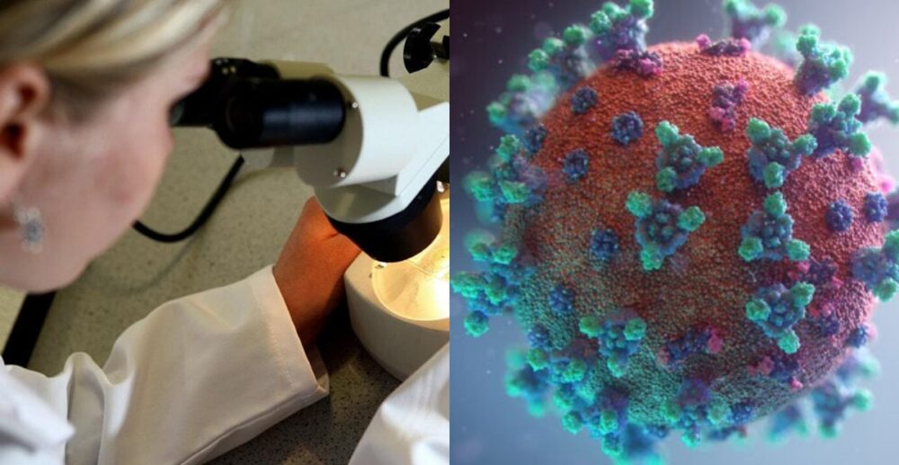 រក​ឃើញស្រទាប់​ជាតិ​ស្ករ​ដែល​​ COVID-19 ប្រើ​ដើម្បី “បំបាំង​កាយ​” ពី​​ប្រព័ន្ធ​ការ​ពារ​រាង​កាយ​មនុស្ស